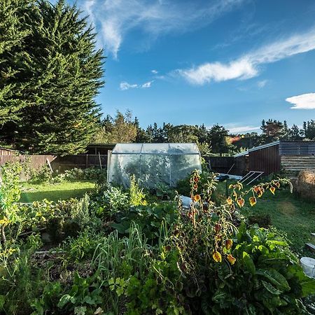 Mount Thomas Road B&B Rangiora Dış mekan fotoğraf