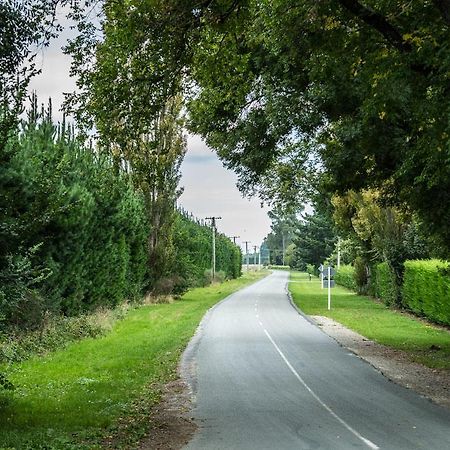 Mount Thomas Road B&B Rangiora Dış mekan fotoğraf