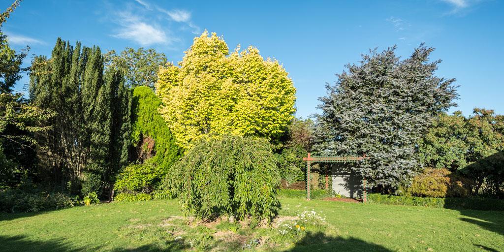 Mount Thomas Road B&B Rangiora Dış mekan fotoğraf