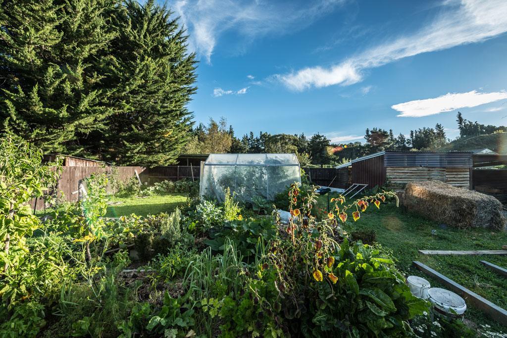 Mount Thomas Road B&B Rangiora Dış mekan fotoğraf