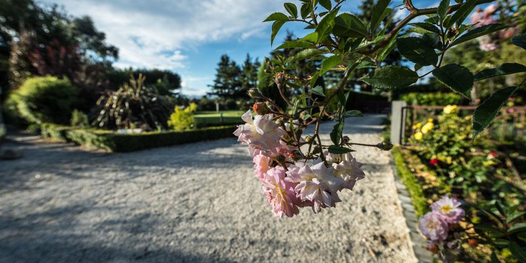 Mount Thomas Road B&B Rangiora Dış mekan fotoğraf