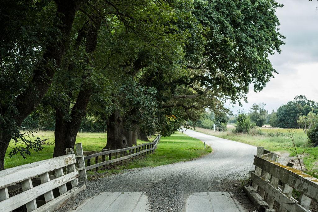Mount Thomas Road B&B Rangiora Dış mekan fotoğraf